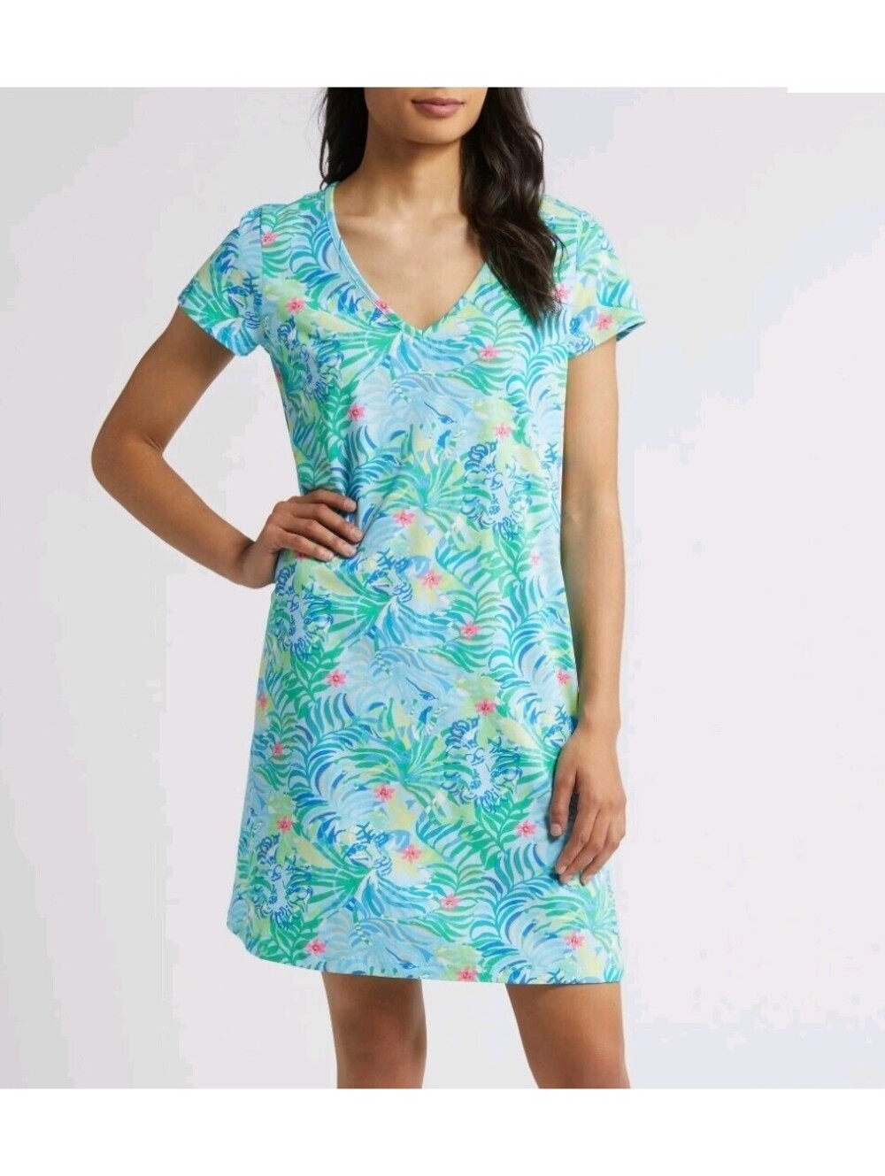 NWT Lilly Pulitzer Etta T-Shirt Dress Blue Frond Lion Cotton Resort Size Small
